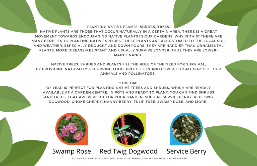 Planting Native Plants, Shrubs, Trees