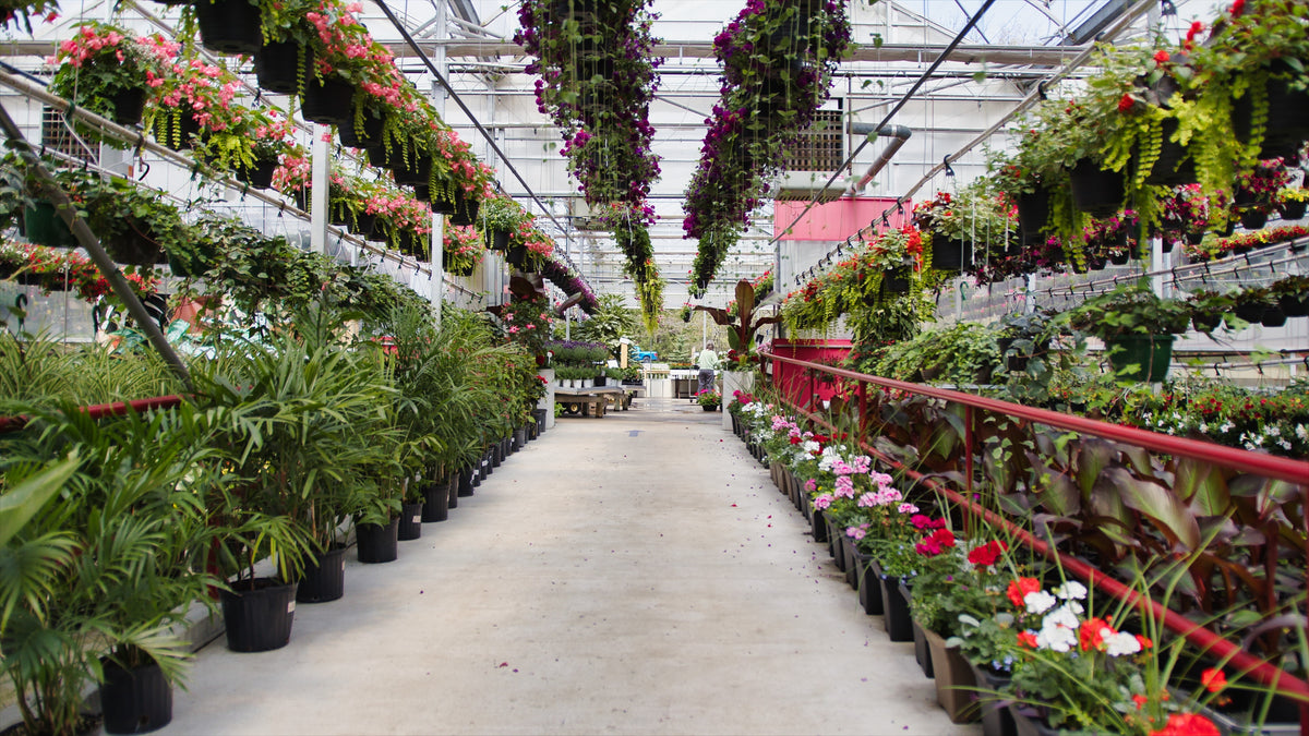 Westland Greenhouses - Landscaping in Grand Bend